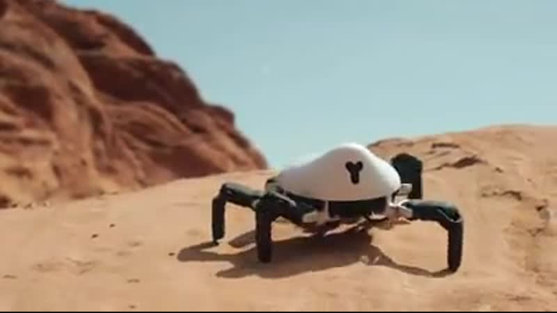 Six Legged