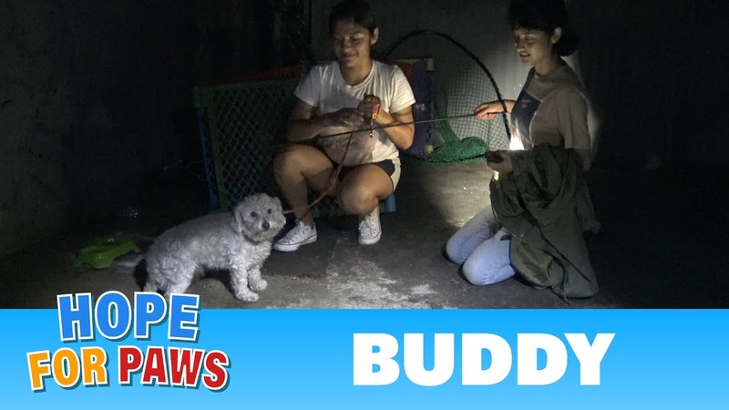 Hope For Paws fans joined me on a late night rescue to save a scared homeless