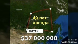 Лес России отдали китайцам.