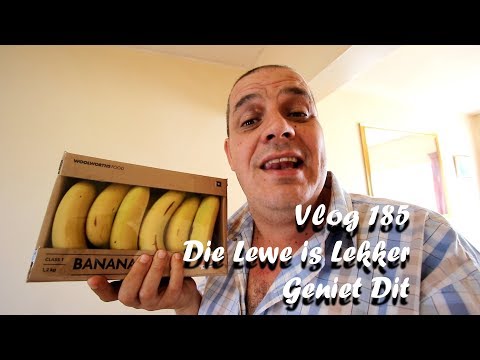 Vlog 185 Die Lewe is Lekker Geniet Dit The Daily Vlogger in