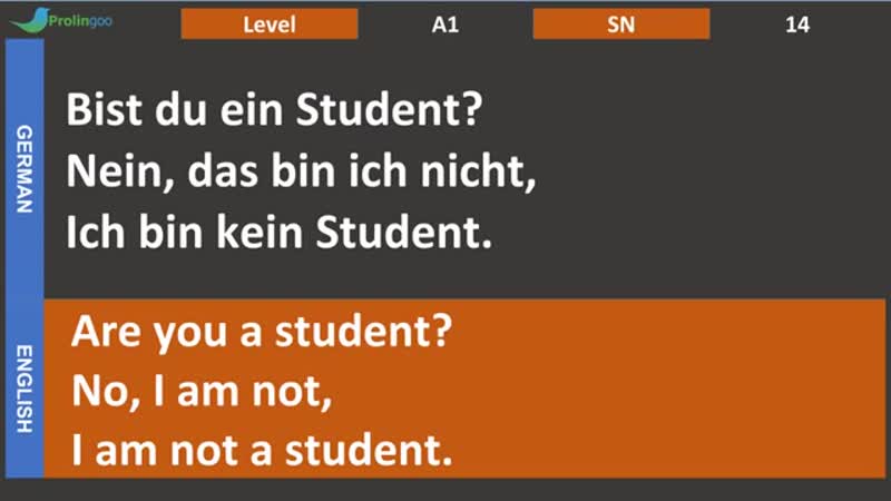 (prolingoo) Learn German While Sleeping. Learn ALL Basic Phrases level