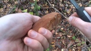 Вырезаю кораблики из коры. Нож Мора Робуст.