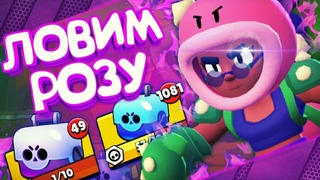 ОФИГЕТЬ - ВОТ ЭТО ПОВЕЗЛО, РОЗА ВЫПАЛА В САМЫЙ НЕОЖИДАННЫЙ МОМЕНТ! || BRAWL STARS