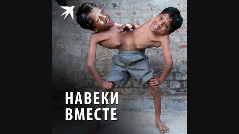 Навеки