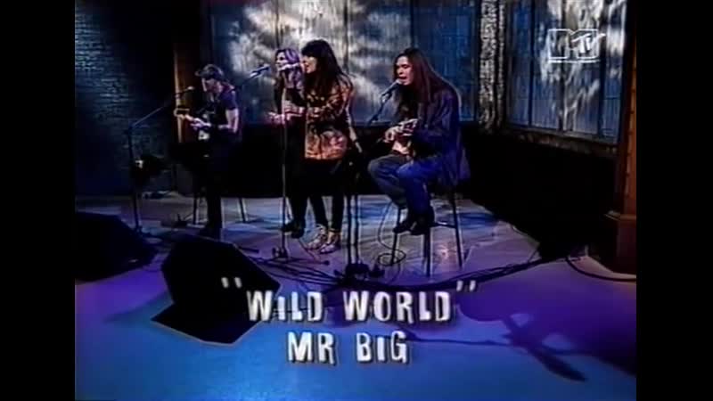 Mr Big Wild World ( Live Acoustic) UK