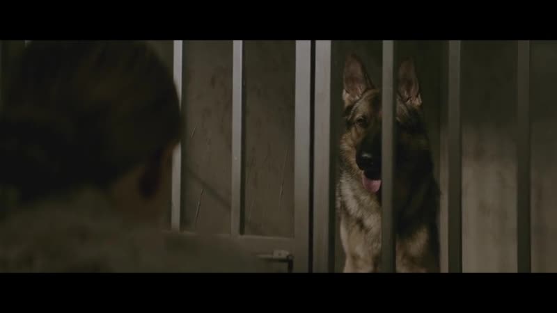 МЕГАН ЛИВИ (2017) военная драма, биография. Габриэла