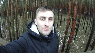 Спонтанная поездка на море. Ручная Лиса. Танцующие деревья