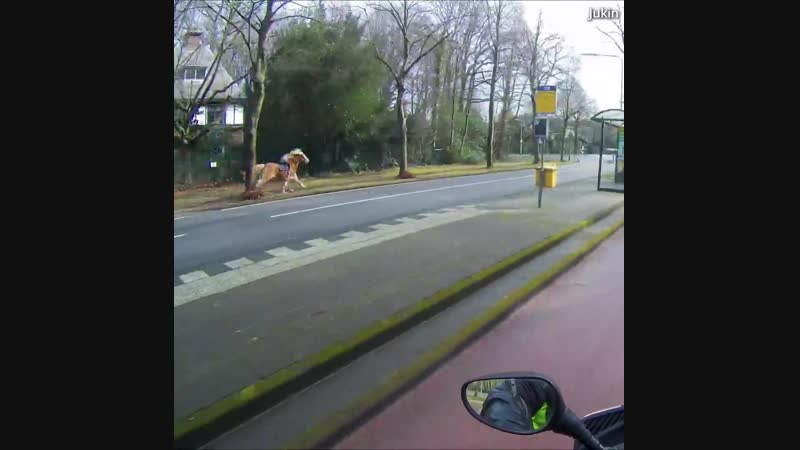 Не хочу я к