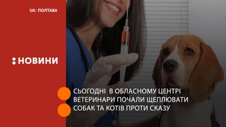 Сьогодні  в обласному центрі ветеринари почали щеплювати собак та котів проти сказу