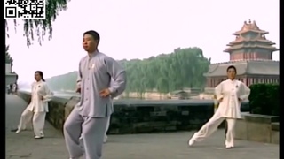 DAOYIN - Shi Er Fa - les 12 mouvements