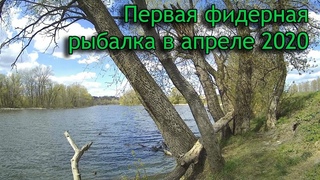Первая фидерная рыбалка в апреле 2020
