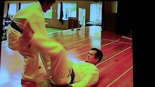 Sanseiryu   bunkai /     Uechi ryu karate / Sensei Katsuji Tamayose, Sensei Takashi Arakaki