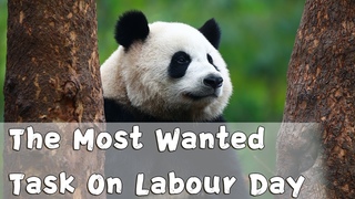 The Most Wanted Task On Labour Day | iPanda