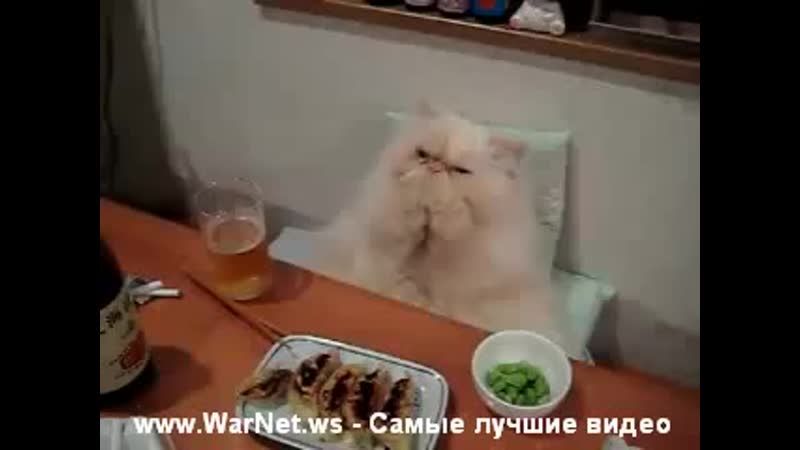 Жирный