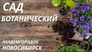 Ботанический сад в Новосибирске Академгородок