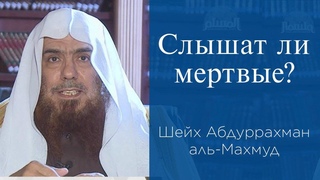 Слышат ли мертвые? Шейх Абдуррахман аль-Махмуд