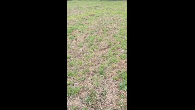 ELAZIGDAN HARPUTLU KADİ Rİ N DESTAN ELAZIĞ DAN
