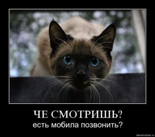 №38, Влад Архипов, 29 лет, Нижневартовск №38, Влад Архипов, 29 лет, Нижневартовск