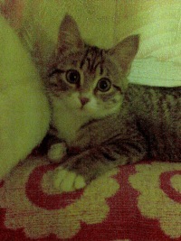 №36, Алексей Ледянкин, 42 года, Пермь №36, Алексей Ледянкин, 42 года, Пермь