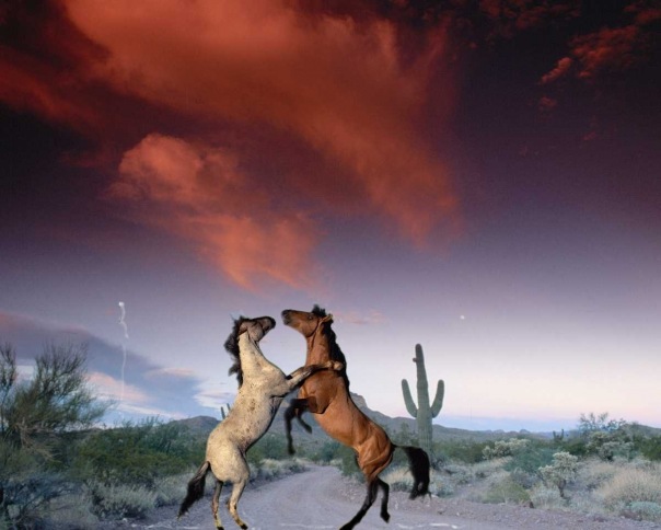 №37, Виолетта Гаврина, 52 года, Минск №37, Виолетта Гаврина, 52 года, Минск