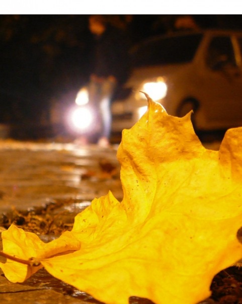 №26, Силард Cуроми, 31 год, Budapest, Венгрия №26, Силард Cуроми, 31 год, Budapest, Венгрия