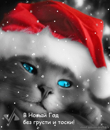 №189, Виктория Победа, Ялта №189, Виктория Победа, Ялта