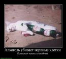 Фотография Павел Сергеев