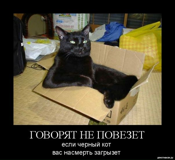 №55, Алексей Шайкин, Киев №55, Алексей Шайкин, Киев