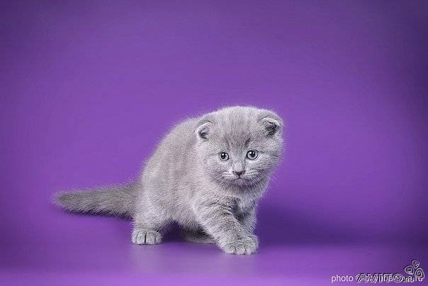 №11, Юська Юська, Chonburi №11, Юська Юська, Chonburi