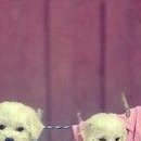 №157, Михаил Войтик, 28 лет, Минск №157, Михаил Войтик, 28 лет, Минск