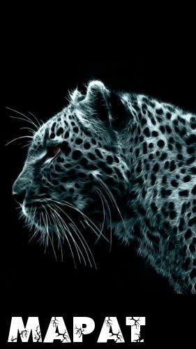 №14, Марат Татарин, 31 год, Саратов №14, Марат Татарин, 31 год, Саратов