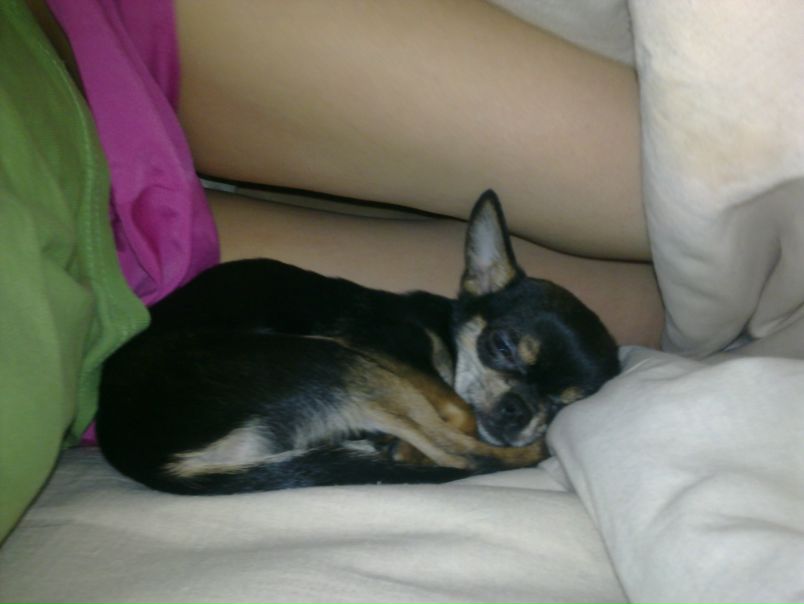 №2, Екатерина Батуева, Санкт-Петербург №2, Екатерина Батуева, Санкт-Петербург