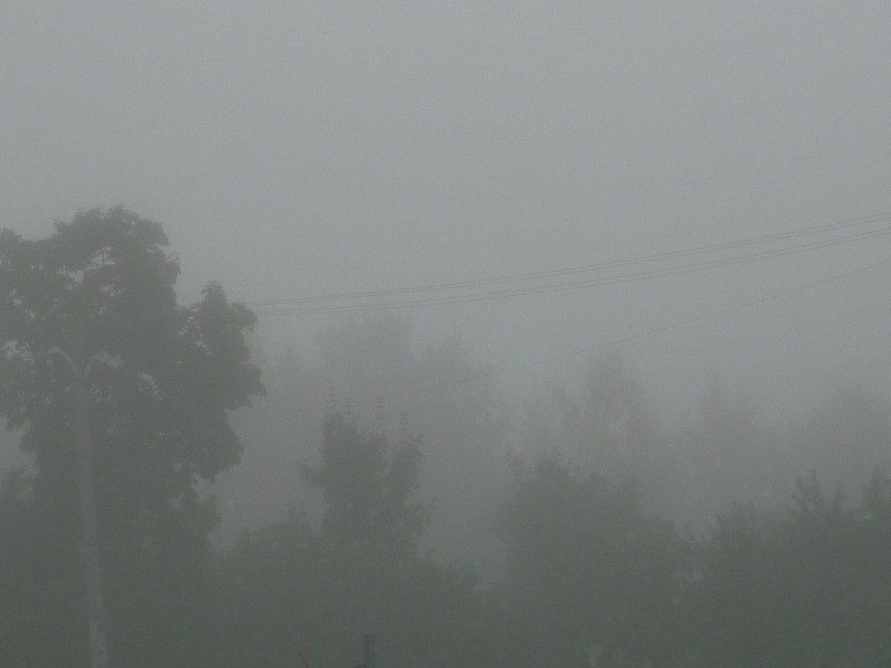 Наталья Бурмистрова | Санкт-Петербург