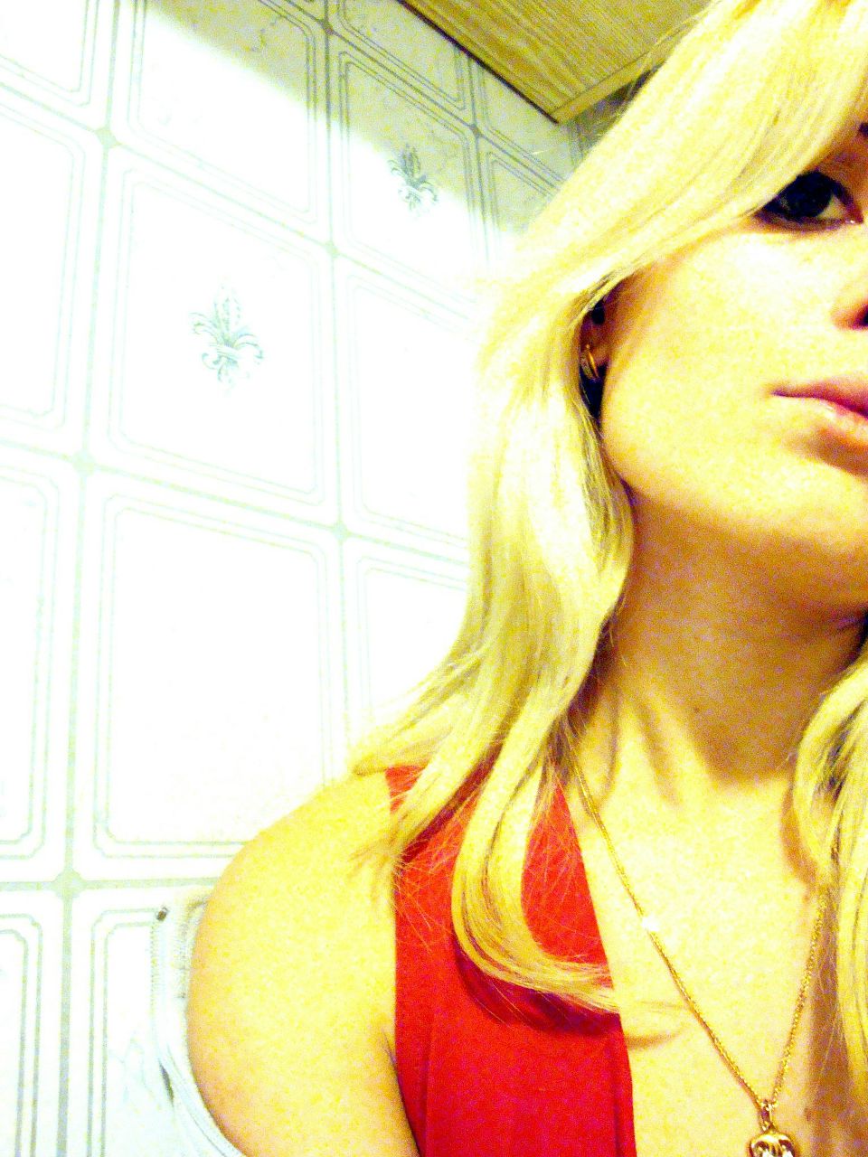 Елена Шевченко | Вышгород