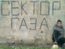 Фотография Екатерина Сомова