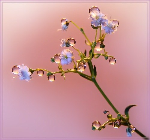 Софья Жданович | Санкт-Петербург