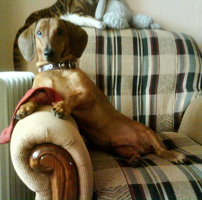 Александра Катаева | Киров