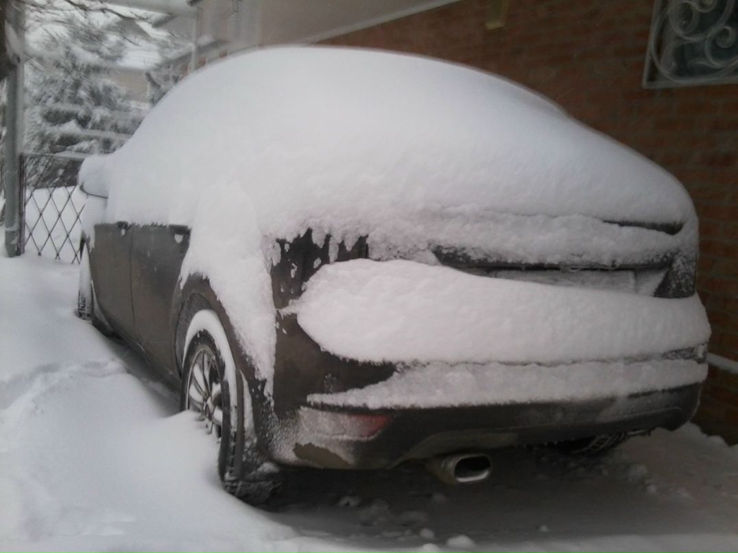 Артем Шевченко | Мелитополь