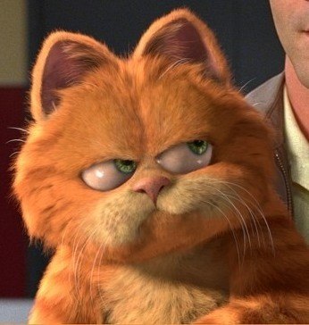 Ксения Cat deluxe | Одесса