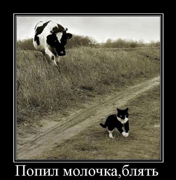 Паша Булычев | Москва