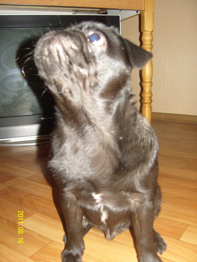 Мария Образцова | Тольятти