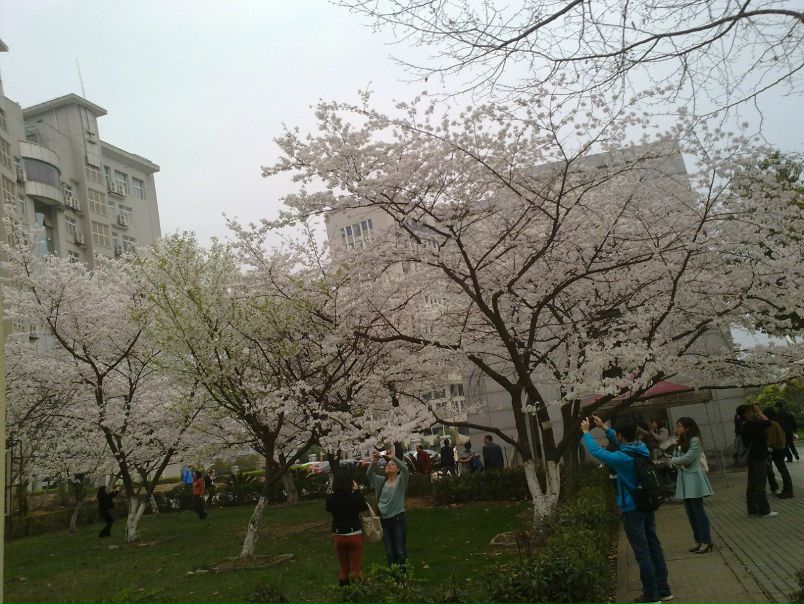 №187, Dudu Npc, Wuhan №187, Dudu Npc, Wuhan