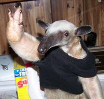 №17, Сергей Анатольевич №17, Сергей Анатольевич