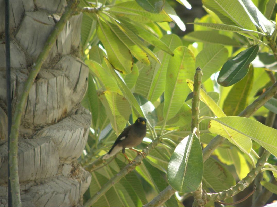 Инна Волкова | Санкт-Петербург