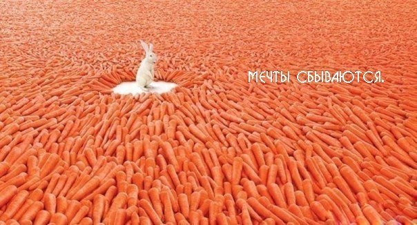 №73, Александра Зенкина, 32 года, Луганск №73, Александра Зенкина, 32 года, Луганск