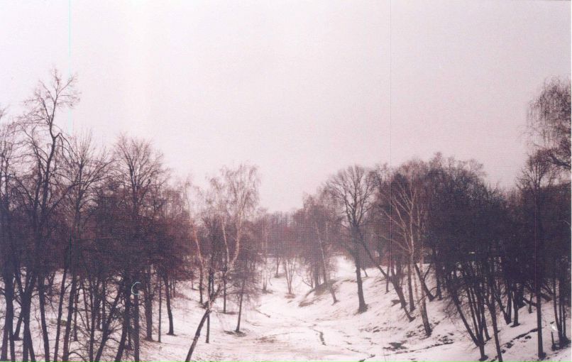 Илья Азаров | Los Angeles