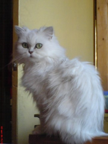 Владимир Глоба LuCky_Fr13nD | Москва