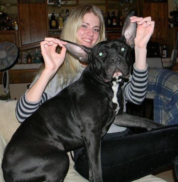 №5, Olena Matvienko, Луганск №5, Olena Matvienko, Луганск