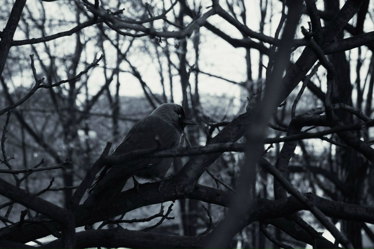 Андрей Фокин | Kraków