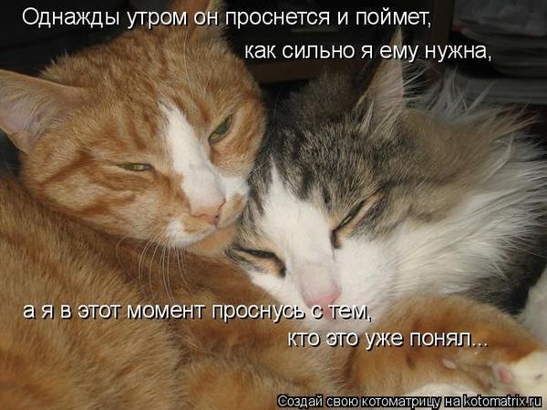 №47, Наталья Колотовкина, Луганск №47, Наталья Колотовкина, Луганск